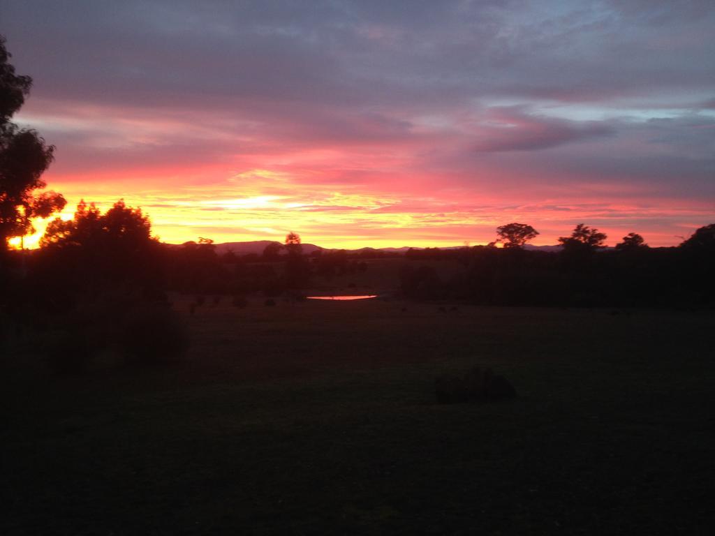 Villa Boroka Downs Halls Gap Esterno foto