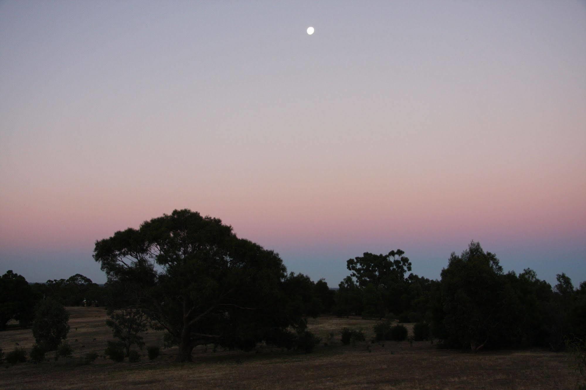Villa Boroka Downs Halls Gap Esterno foto