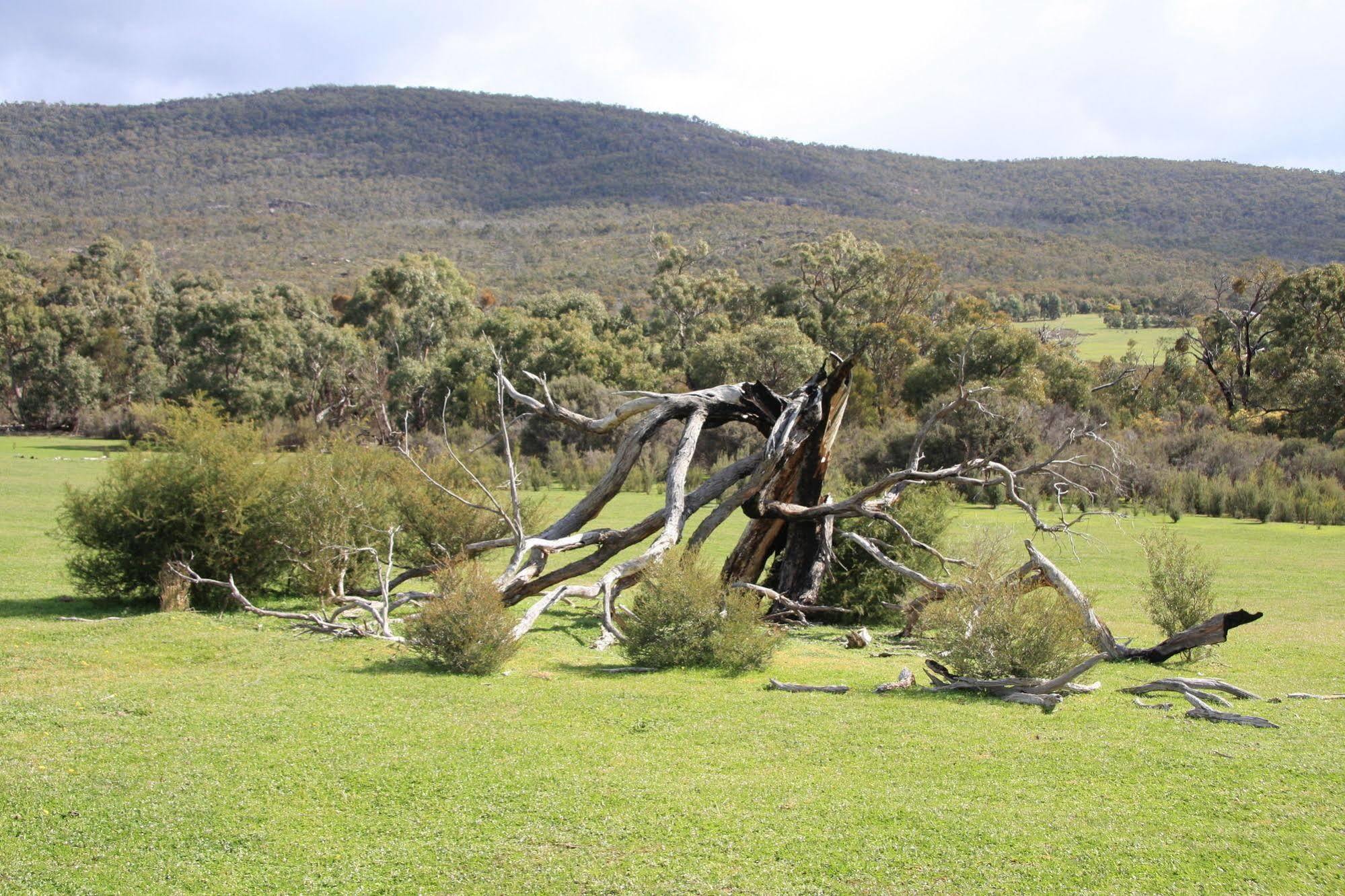 Villa Boroka Downs Halls Gap Esterno foto
