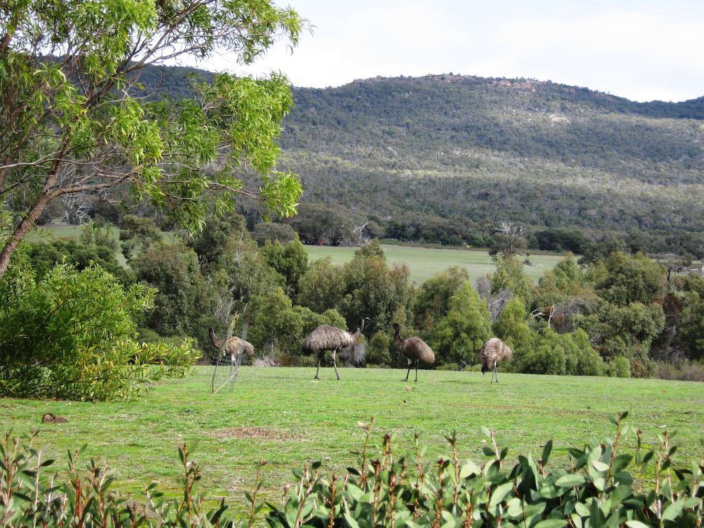 Villa Boroka Downs Halls Gap Esterno foto